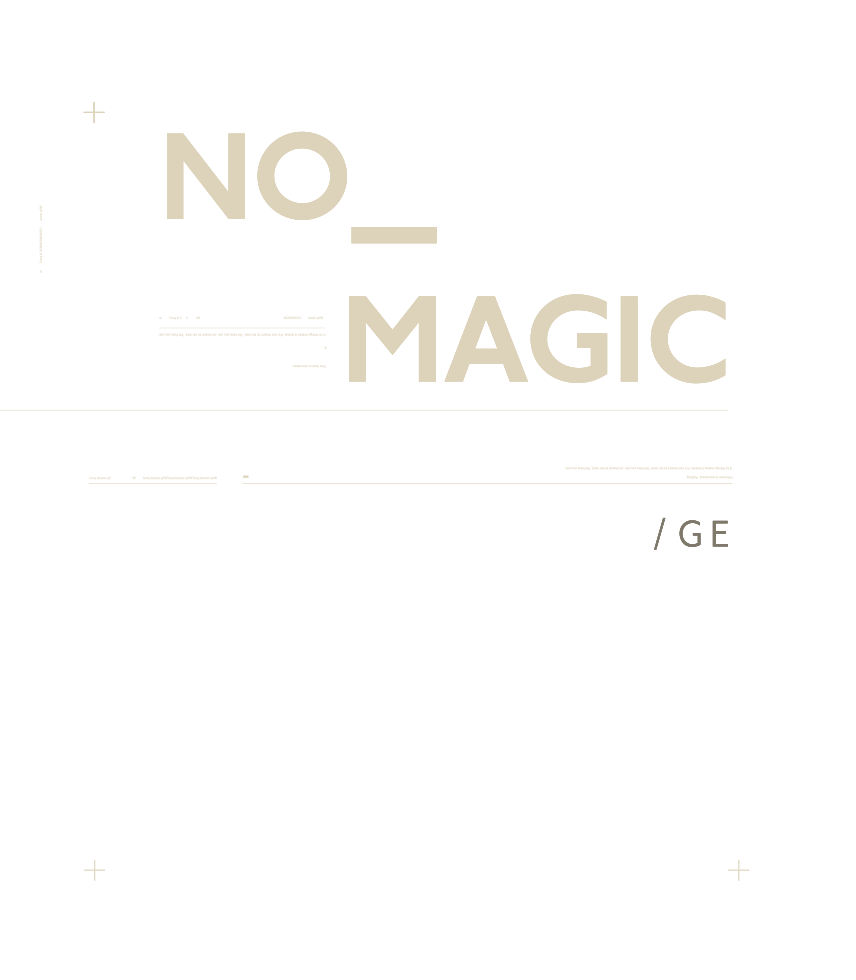 THERE IS NO MAGIC